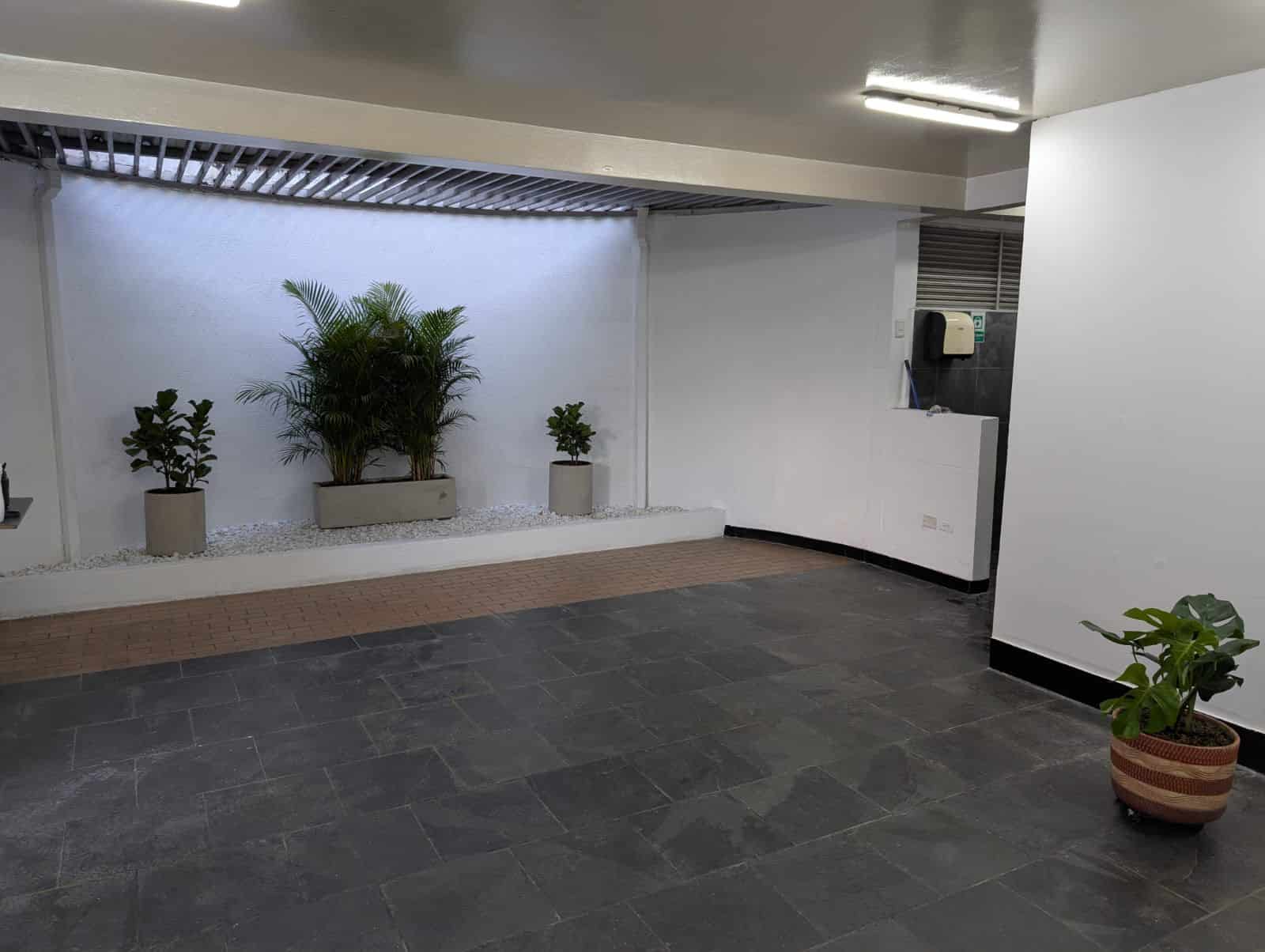 Foto en la cual se ve una zona decorada con matas. Este espacio es la zona de bienestar de los conductores.